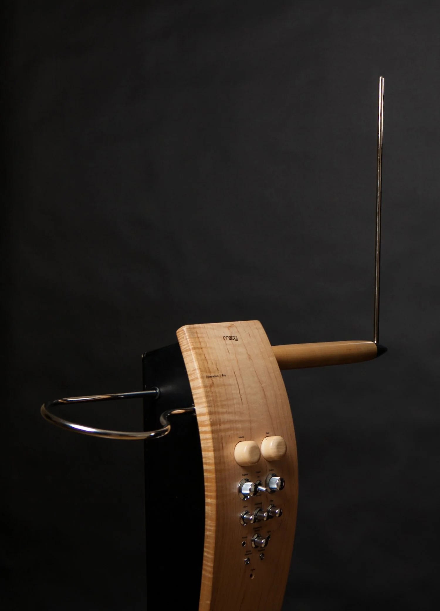 Theremin & FAQ — Carolina Eyck